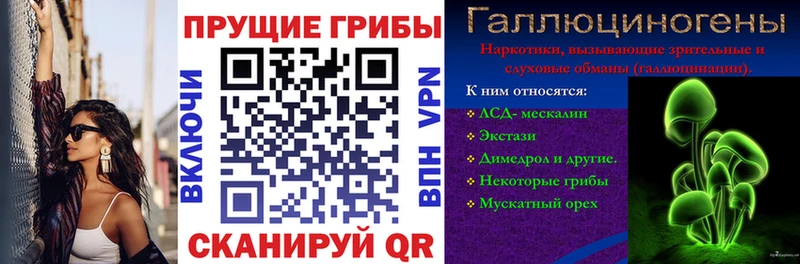 где купить наркоту  omg tor  Галлюциногенные грибы мухоморы  Ессентуки 